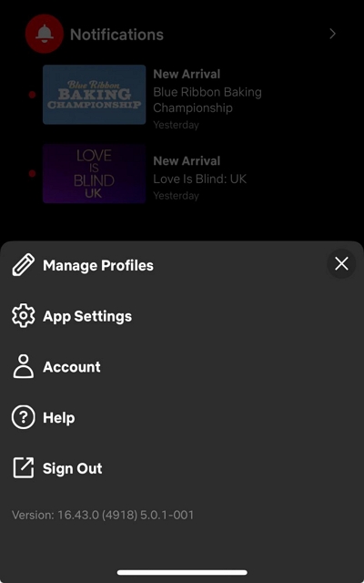 manage profiles | add another profile on netflix