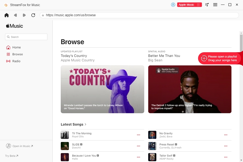 add songs to Apple Music player in StreamFox | Download Apple Music Playlists to MP3