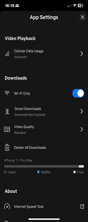 smart downloads | download netflix