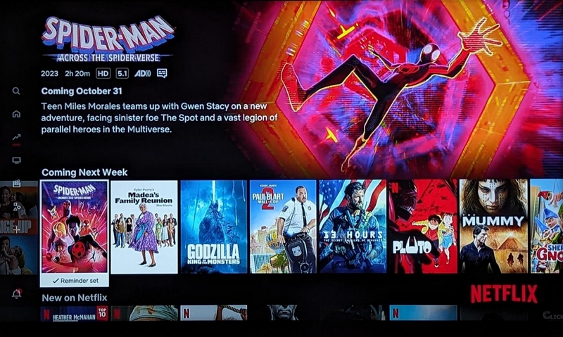 across the spider-verse | best downloadable movies on netflix