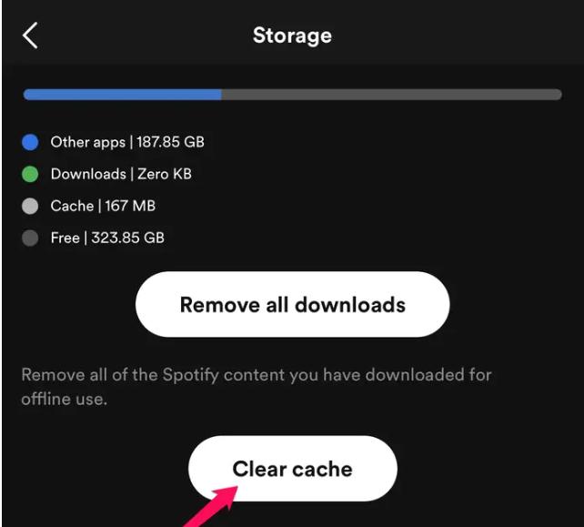 clear Spotify cache | Download Music from Spotify to Phone Storage