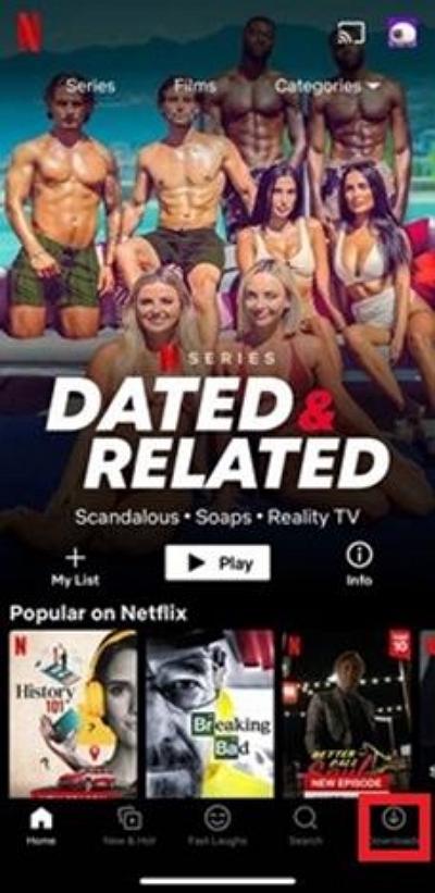 select the Downloads | netflix episode downloader