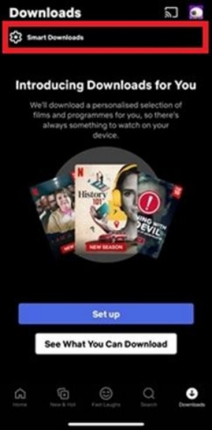 Smart Downloads | netflix episode downloader