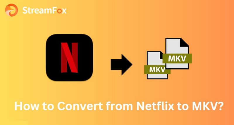 download netflix to mkv | netflix to mkv