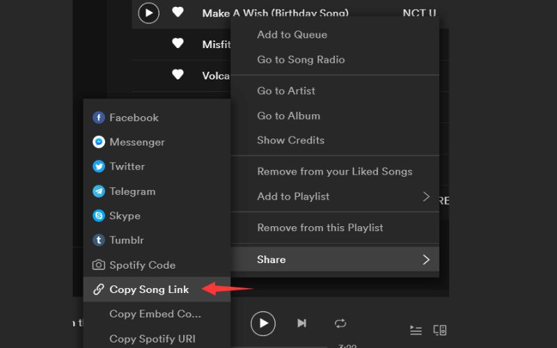 tap Share | Convert Spotify to MP3 without Recording