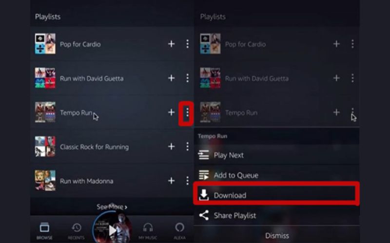 choose Download | Download Amazon Music to SD Card