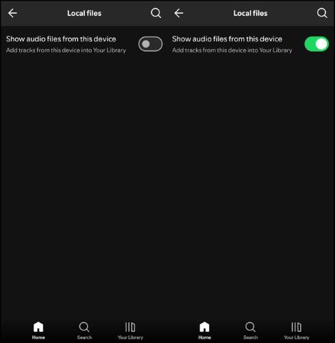 Show audio files Android | Download Local Files on Spotify