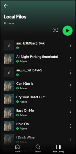 Local Files section of Spotify Android | Download Local Files on Spotify
