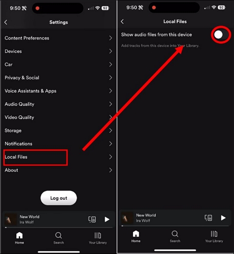 enable Show audio files | Download Songs on Spotify on iPhone