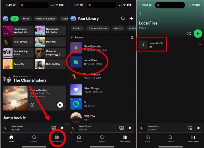 choose Local Files | Download Songs on Spotify on iPhone