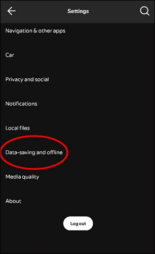 select Data saving and offline | Download Songs on Spotify on iPhone