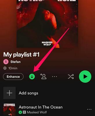 download Spotify songs | Download Songs on Spotify Using Cellular Data