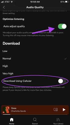 enable Download Using Cellular | Spotify Not Downloading Songs