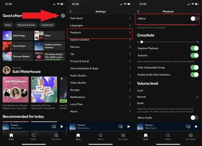 enable offline mode Spotify mobile | Listen to Spotify Offline