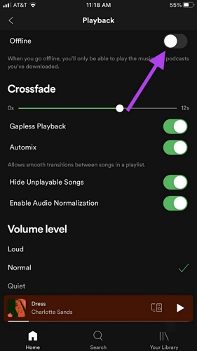 toggle on Offline | Download Songs on Spotify Using Cellular Data