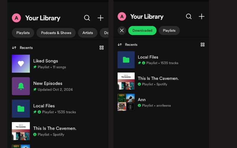 select Downloaded | Spotify Downloaded Songs Not Playing