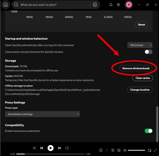 click Remove all downloads | Remove Downloads from Spotify