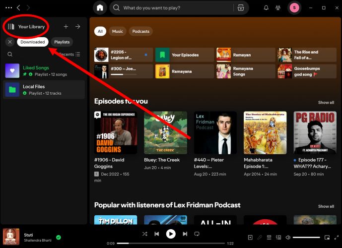 see offline playbacks | Remove Downloads from Spotify