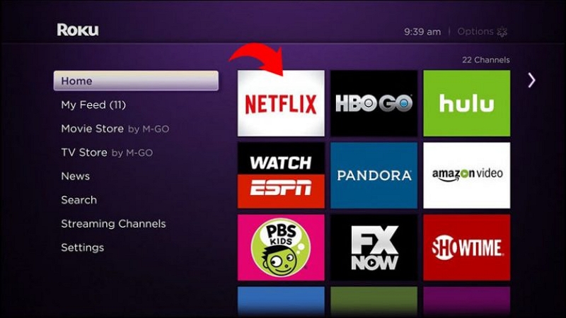 highlight the Netflix channel | how to sign out of netflix on roku