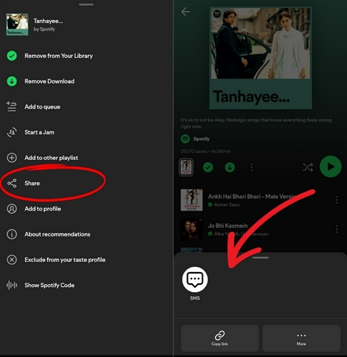 choose the method to share playlists | Spotify Playlist Disappeared