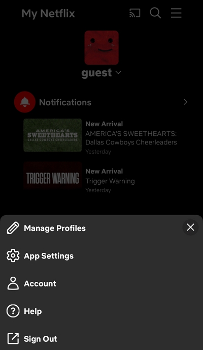 app settings | how to download movies on netflix