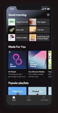 run Spotify mobile | Combine Spotify Playlists