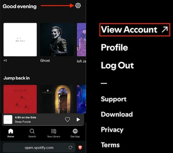 select View Account | Spotify Playlist Disappeared