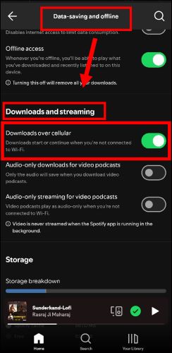 switch on Downloads over cellular | Why Won't My Spotify Playlist Download