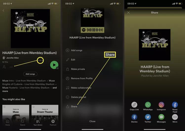 tap Copy Link | Download Spotify Playlists Offline to Phone or Computer