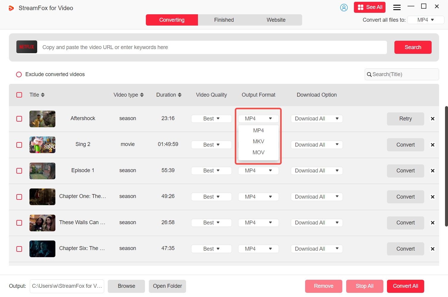 output format | streamfox for video user guide