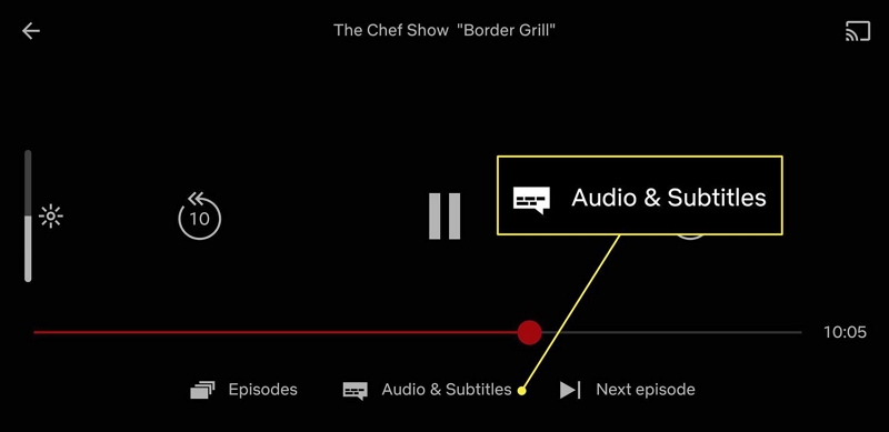 shows up on the screen | how to turn off subtitles on netflix